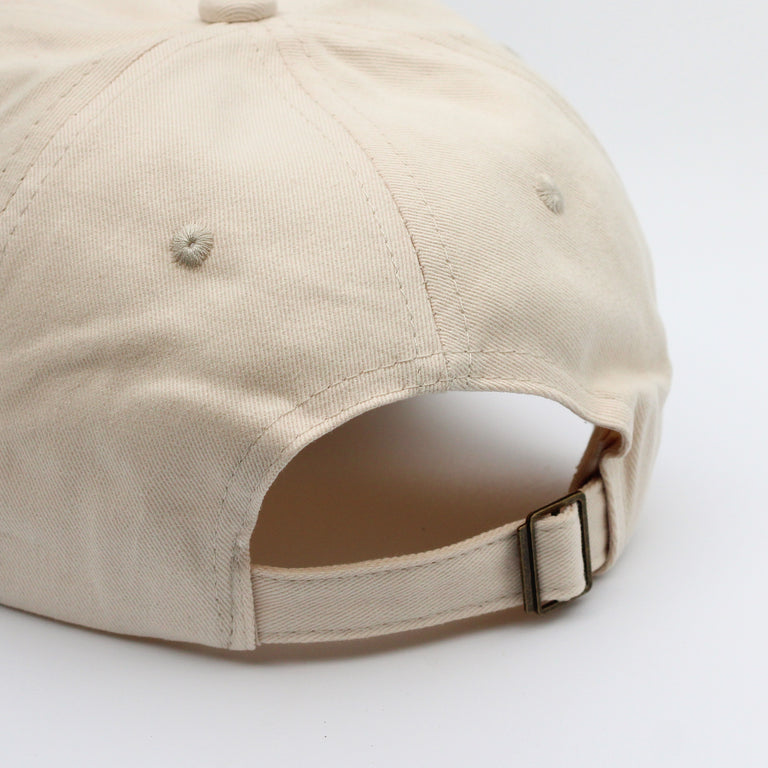 HMS Logo Hat