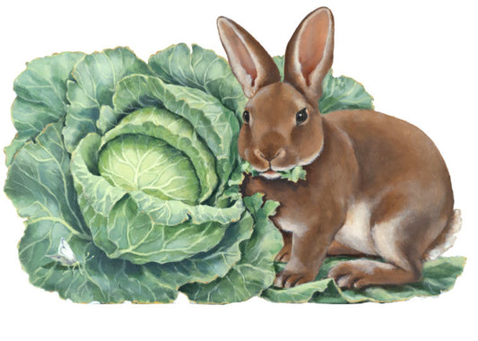 Katharine Barnwell Rabbit